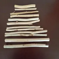 Item thumbnail for item ced34766-ca61-4ec6-bd3d-45e9a0fd4fdc