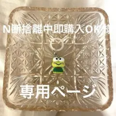 N断捨離中即購入OK様　専用ページ
