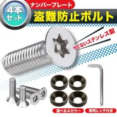 ナンバープレートボルト ナンバーフレーム M6 チタン　セキュリティ