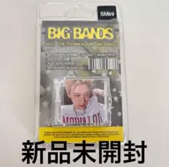 WayV BIG BANDS smini テン