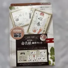 シヤチハタ PALM COLORS 命名紙制作キット あかインキセット
