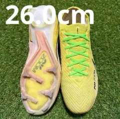 Item thumbnail for item 25876950-f18f-44a5-9da2-b652ac32502c