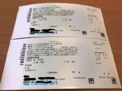 ミライイニ チケット 2枚 12月4日