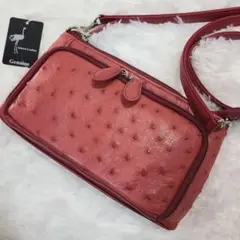 [未使用]超美品✨オーストリッチ お財布ショルダーバッグ