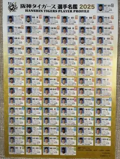 阪神タイガース　選手名鑑チラシ　最新版　8/30 甲子園球場