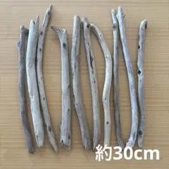 Item thumbnail for item d47dea5d-a8de-4908-a091-1a951fe19141