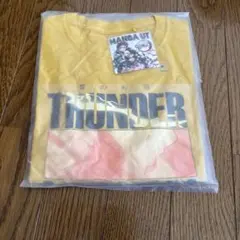 新品 ユニクロ 鬼滅の刃 Tシャツ