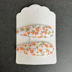 Item thumbnail for item 0376d339-a215-4fca-98a0-82d0b4138fd2