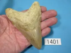 Item thumbnail for item 8b755908-95df-43e1-8ae8-6c748159e3a0