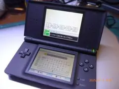 比較的綺麗なニンテンドーDS Lite　簡単な動作確認済み　日本語入力も可能。