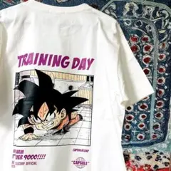 ドラゴンボール ティーシャツ 半袖 メンズ ヴィンテージリプリント 白 アニメT
