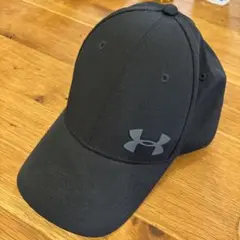 Item thumbnail for item 1a7c41a6-1f90-48c7-838f-2f1f541f7cd4