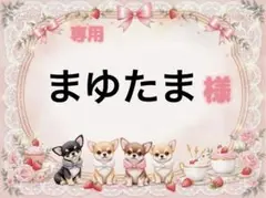 専用