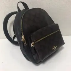 極美品⭐︎【COACH】ミニリュック★ PVCレザー レディース シグネチャー柄
