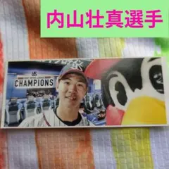 つば九郎 内山壮真 選手 せるふパチリステッカー シール ヤクルトスワローズ