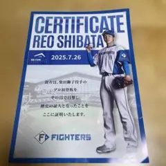 ファイターズ　柴田獅子　初登板証明書
