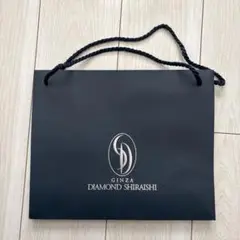 Item thumbnail for item dceace9b-8bad-492f-ae82-c2d78d95ba91