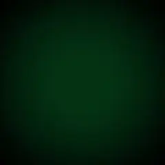 専用