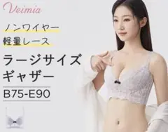 ヴェーミア　VEIMIA 補正ブラ
