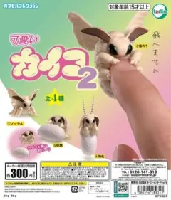 可愛いカイコ2 全4種コンプリートセット
