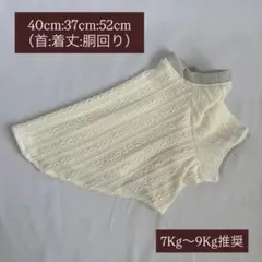 Item thumbnail for item 0977f704-e99b-4884-83ce-e6140ffcb010