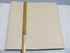 Item thumbnail for item 2359afc5-8061-43a1-a057-0592814668a1
