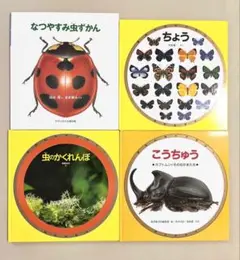 【絵本】なつやすみ虫ずかん：虫のかくれんぼ：ちょう：こうちゅう 福音館書店