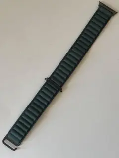 【新品・箱なし】49mm L アルパイン・ダークグリーン(ブラックチタニウム)③
