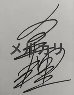 俳優　向井理　ドラマ初主演　直筆サイン　色紙 俳優 向井理さんのサイン色紙｜Yahoo!フリマ（旧PayPayフリマ）