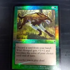 最終 SALE❗️MTG 野生の雑種犬　エラーカード　1枚 野生の雑種犬 [ODY] 【BIGWEB | MTG】日本最大級の激安カード