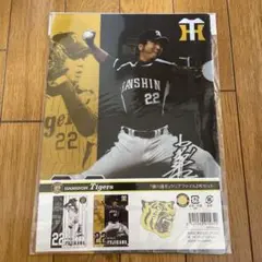 藤川球児　クリアファイル2枚セット