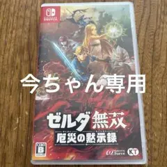 ゼルダ無双 厄災の黙示録