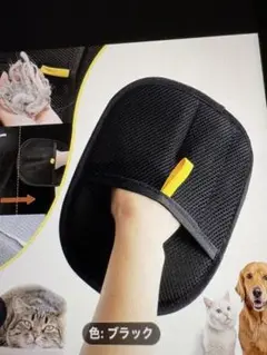 Item thumbnail for item 140e0075-fcfe-4031-b096-3cdaaeef92b6