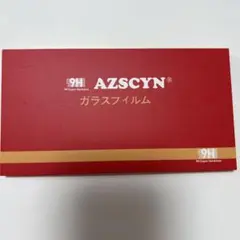 GARMIN 保護フィルム2枚