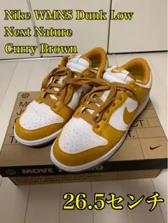【送料無料】Nike WMNS Dunk Low Next Nature