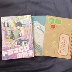 ひとりじめマイヒーロー 11巻 特装版