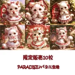 PARADISEパネル生地　 限定販売10枚　猫柄