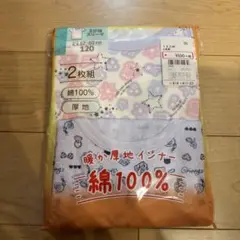 Item thumbnail for item c3027a1c-1d81-46df-b8c3-9cf4b64bfca9