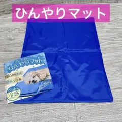 Item thumbnail for item cd61fb72-ac06-49ab-b0ea-0e7e3d17dc48