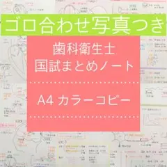 歯科衛生士 国家試験 国試まとめノート♪ゴロ合わせ写真つき