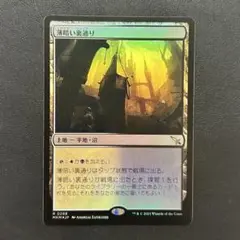 MTG 薄暗い裏通り R 0268 Foil