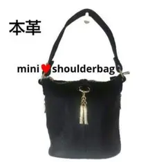 新品未使用/本革バッグ/黒/ゴールドタッセル付き/ミニショルダーバッグ