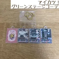 アイカツ！ びっくらたまご バスボム カード ミニチュア グリーンステージコーデ