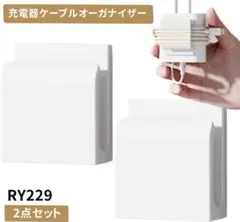 Item thumbnail for item 96048e7f-0acd-4578-ae47-0d11a13e8684