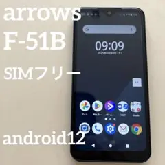 FUJITSU arrows F-51B SIMフリー