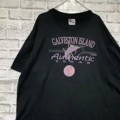 USA製90sヴィンテージTシャツ！シングルステッチ　ブラック半袖古着XL717
