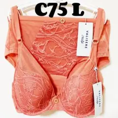 C75 トリンプ ヴィリゼールバイトリンプ ブラu0026ショーツ