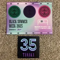 千葉ロッテマリーンズ　ネーム＆ナンバーステッカー　田中晴也　＋オマケ