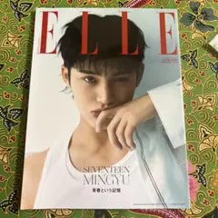 ELLE JAPON 9月号 SEVENTEEN MINGYU 青春という記憶