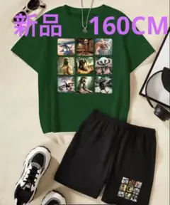新品　キッズ　ダークグリーン キャラクターTシャツとショートパンツセット